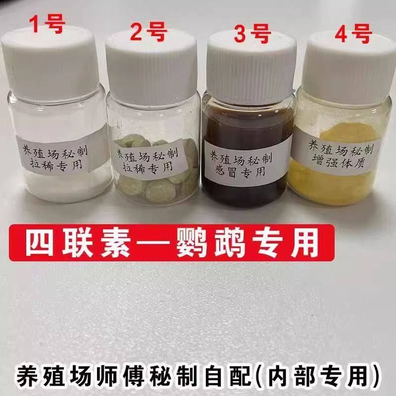 鹦鹉驱虫药品电解质电解