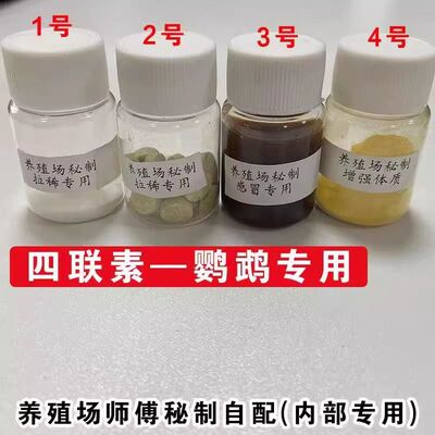 鹦鹉驱虫药品电解质电解