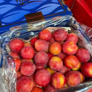 现货5J智利进口樱桃李子新鲜水果红龙蛋红心李子空运5斤礼盒装