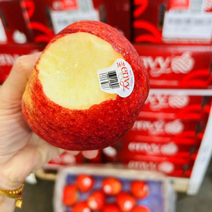 现货新西兰美国爱妃苹果Envy12个礼盒装 HG级大果新鲜整箱水果顺丰