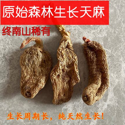 中药材天麻特级野外生终南山挖比神农架和云南天麻干货可粉片无硫