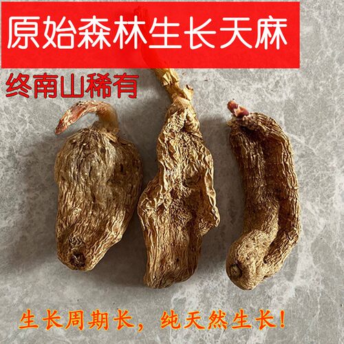 中药材野外生天麻特级可切片打粉