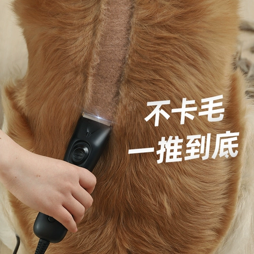 Собака для бритья домашнего животного, плюшевая плюшевая бритва, засоренная ногами собака собака собака, мао мао мао мао мао мао, порезанный кот