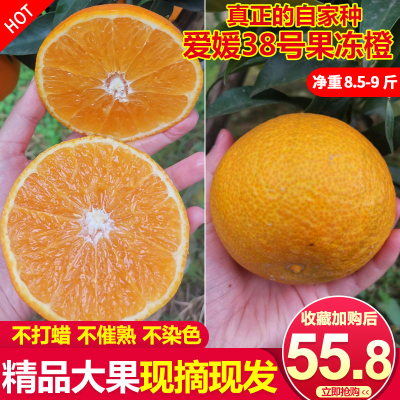 四川眉山爱媛38号果冻橙子超甜红美人当季新鲜孕妇水果果园现摘发,水产肉类/新鲜蔬果/熟食,橙,淘宝优惠券,粉丝福利购,淘宝优惠卷