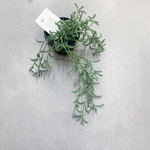 IKEA宜家仿真花盆栽绿植悬挂摆设