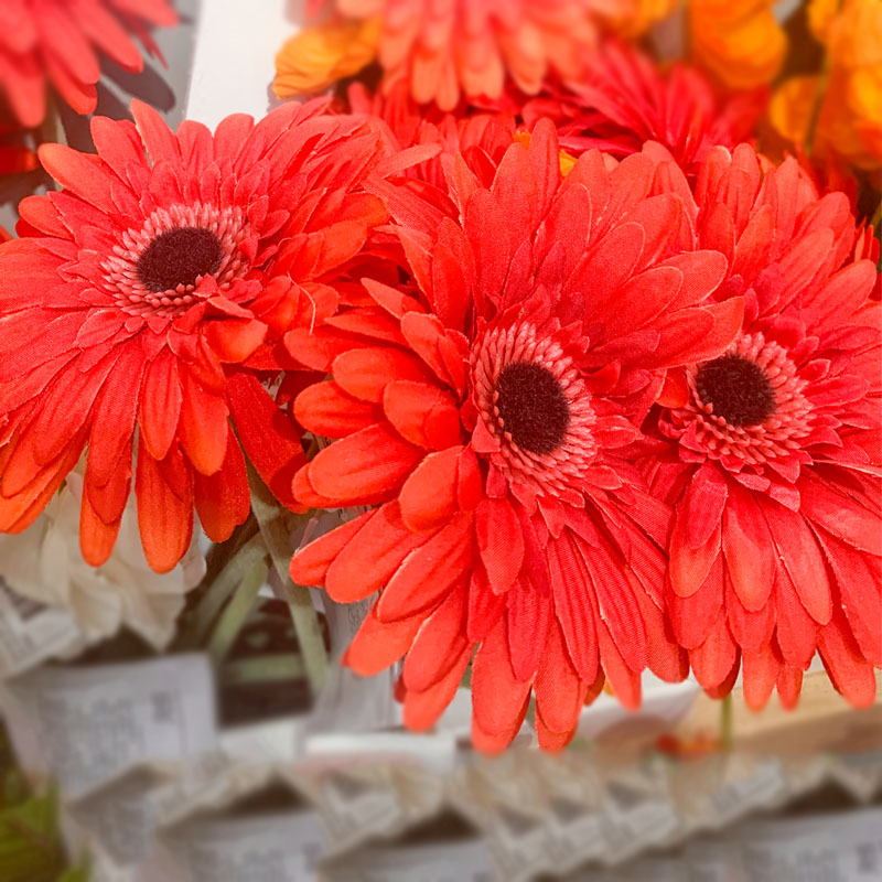 IKEA宜家 思米加人造花扶朗花 现代简约家居花艺摆设仿真花卉装饰