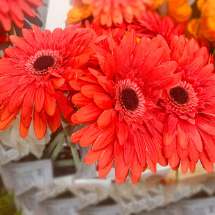 IKEA宜家 思米加人造花扶朗花 现代简约家居花艺摆设仿真花卉装饰