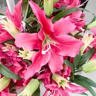 IKEA宜家 思米加人造花百合花 现代简约家居高仿真 花卉装饰摆设