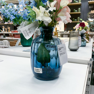 IKEA/宜家 通赛塔 插花瓶透明玻璃瓶 家用客厅 绿植插花桌面摆件