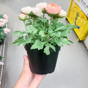 IKEA宜家 菲卡毛莨 人造盆栽植物 粉色简约仿真花卉盆景家居摆设