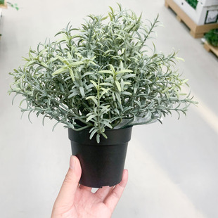 IKEA宜家 菲卡 迷迭香人造盆景 仿真花卉装饰 简约花艺家居摆设
