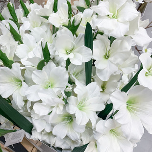 IKEA宜家 思米加人造花剑兰 现代简约花艺家居摆设 仿真花卉装饰