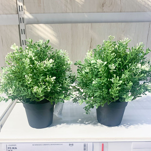 IKEA宜家 菲卡 百里香 人造盆栽 现代简约家居摆设 仿真花卉装饰