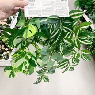 IKEA宜家 菲卡 人造花壁架植物 现代简约家居摆设 仿真花卉装饰