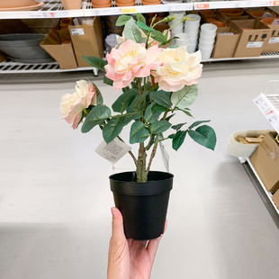 IKEA/宜家 菲卡粉玫瑰 人造盆栽植物 简约仿真花卉 盆景家居摆设