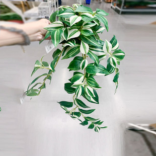 IKEA宜家 菲卡吊竹梅人造盆栽植物 花艺盆景家居摆设仿真花卉装饰