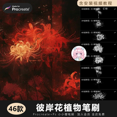 彼岸花曼珠沙华花卉鲜花手绘美术板绘素材procreate笔刷ps笔刷