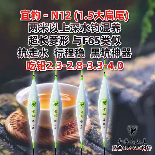 鲫鱼宜钓纳米大扁黑坑鲤鱼