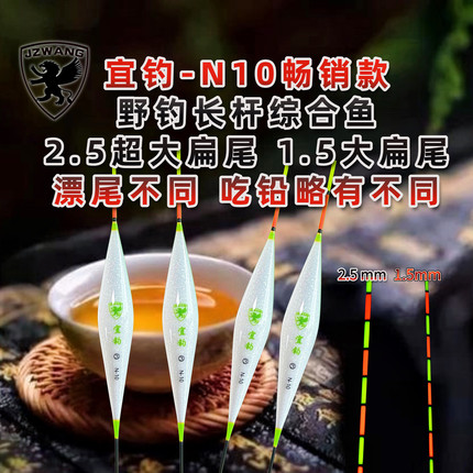 宜钓-N10（新款）菱形混养纳米浮漂 JZWANG超大扁尾2.5mm