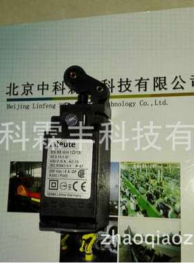 ES 95 WH 10/1S 95.0.14.0.01德国STEUTE世德限位开关