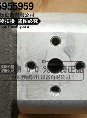 意大利ATOS阿托斯齿轮泵PFG-211-D/RO PFG-211-D 现货