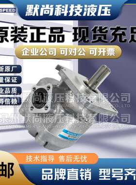 日本NIHON SPEED齿轮泵K1P1R11A K1P2R11A K1P3R11A K1P4R11A油泵