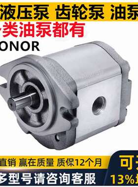 HONOR齿轮油泵马达 1GG 2GG 2MM1P 2MM1B 2DG1BP 1AG1P 0 5 6 4 7