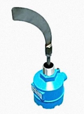 恩德斯豪斯E+H物位阻旋开关 型号：FTE31-C3CC21-上海桂伦自动化