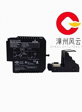 VE4003S2B3 卡件DCS/PLC 网络接口模块