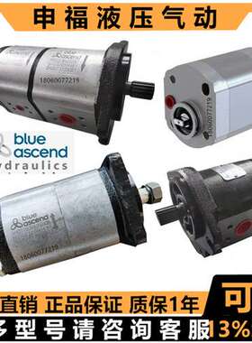 土耳其BLUE ASCEND齿轮泵AP20.160.CGL01SN AP20.115.CGL01SN油泵