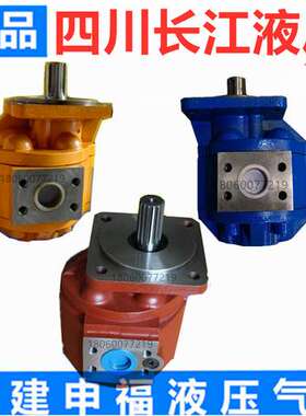 四川长江液压油泵CBG2080B1R 2063 2100 2040 2050 CMG Z JHP Gj