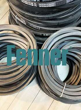 V型带 英国芬纳FENNER工业皮带 SPA B C 2632 4750 132X3 4000QPX