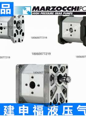 意大利马祖奇齿轮泵马达MARZOCCHI ALP2BK1-D- 6 9 10 12 22 25