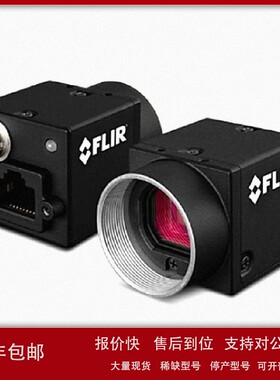议价加拿大FLIR菲力尔 工业相机 GigEPOE接口 BFLY-PGE-13S2C-CS
