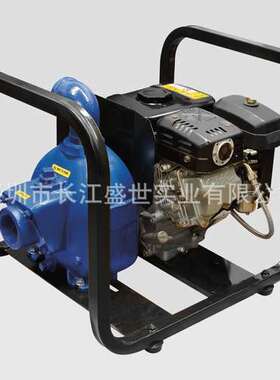 Gorman-Rupp泵Gorman Rupp工业离心回转潜水隔膜泵化工GR82H3B