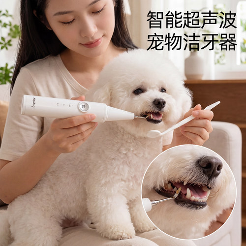 【真医用级】超声波去牙结石神器