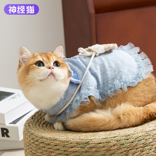 25年新款 小猫咪背心连衣裙布偶猫德文猫宠物无毛猫衣服防掉毛薄款