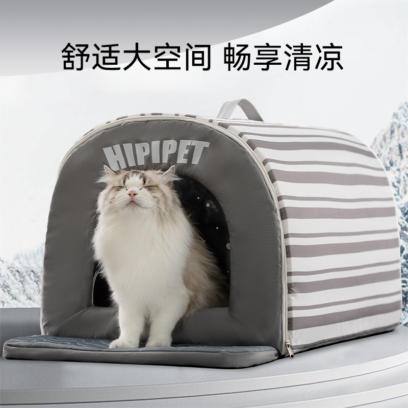 夏日消暑王炸！猫咪空调屋超解暑
