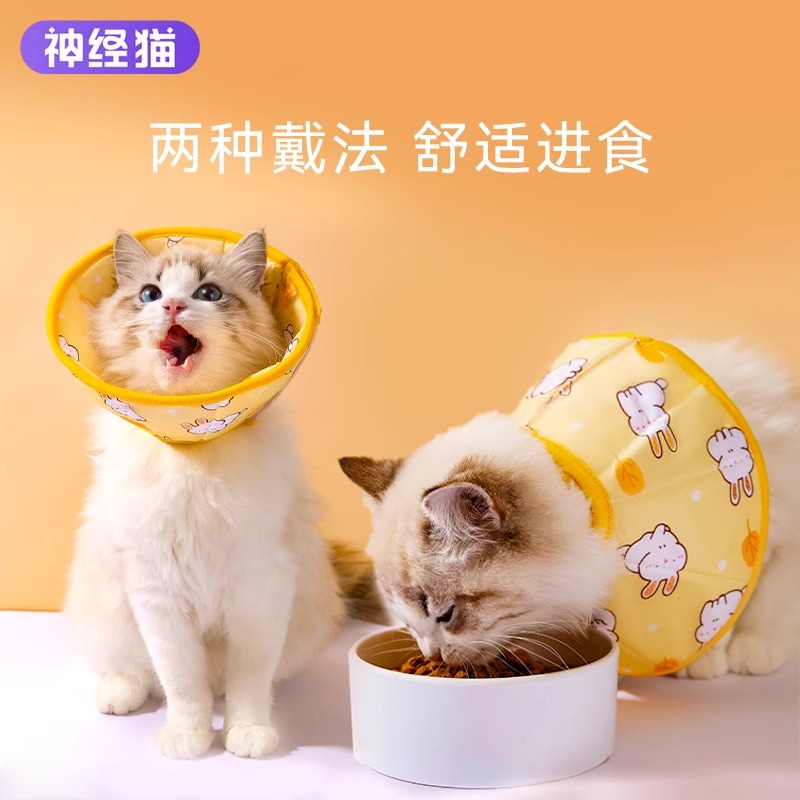 猫咪伊丽莎白圈术后防舔正常进食