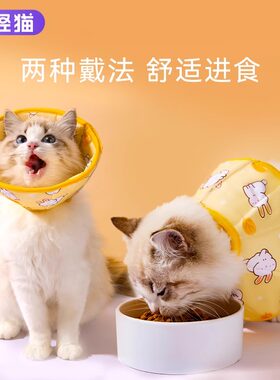 猫咪伊丽莎白圈术后防舔正常进食