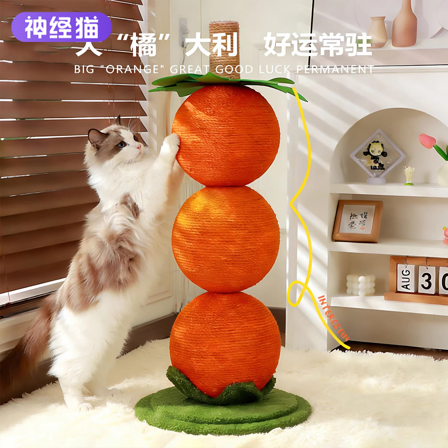 猫爬架家用小户型不占地猫抓球磨爪子猫爬柱猫爬树猫咪攀爬剑麻柱,宠物/宠物食品及用品,猫爬架,淘宝优惠券,粉丝福利购,淘宝优惠卷