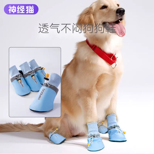 宠物中大型犬软底鞋防脏