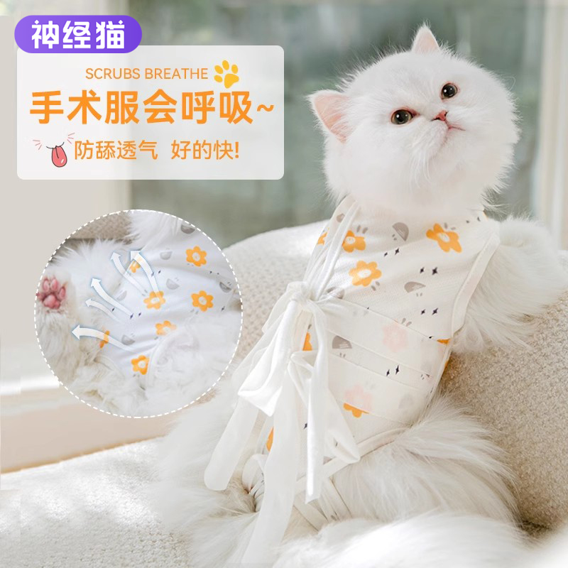 系带猫咪绝育服母猫手术衣服防掉毛断奶术后防舔防掉宠物猫猫防护