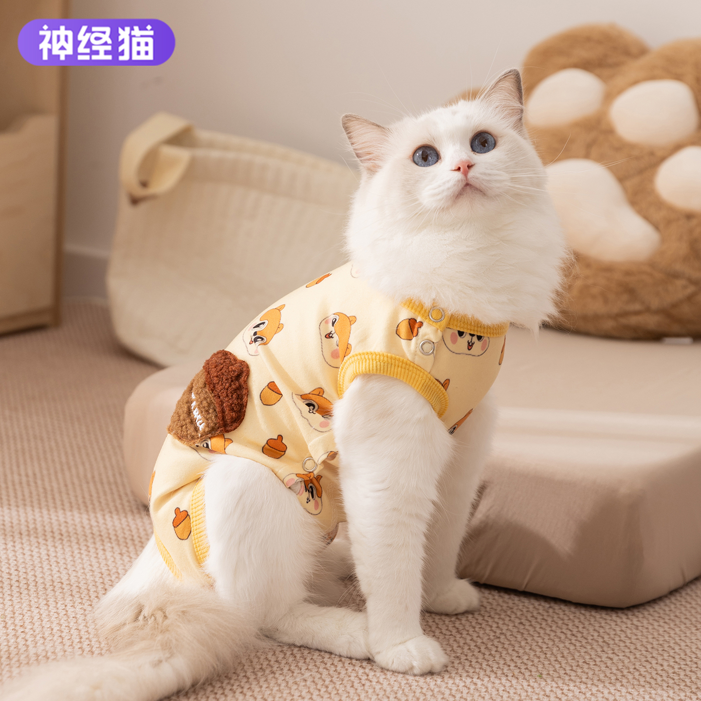 猫咪衣服包肚衣冬季保暖护肚子