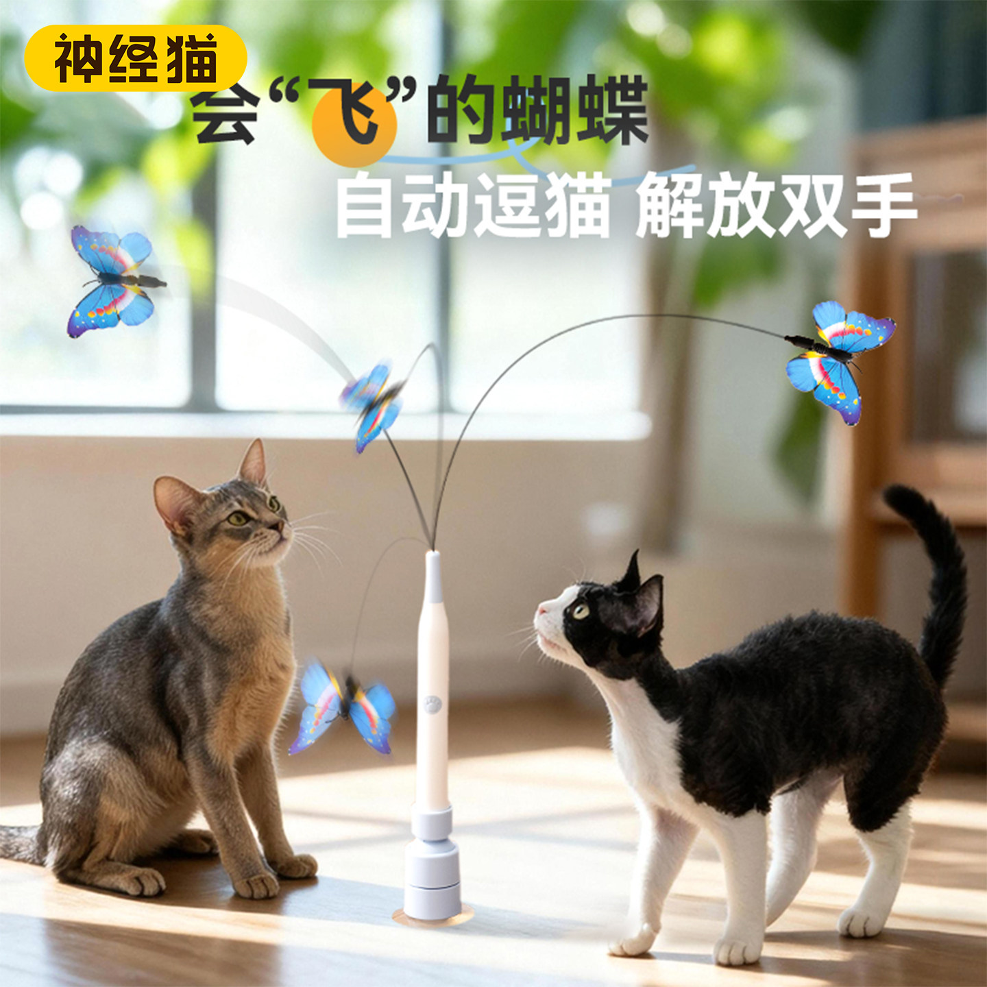 自动逗猫棒吸盘猫玩具猫咪自嗨解闷神器消耗体力电动蝴蝶猫咪玩具,宠物/宠物食品及用品,逗猫棒,淘宝优惠券,粉丝福利购,淘宝优惠卷