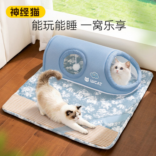 剑麻猫隧道~解锁多种玩法！