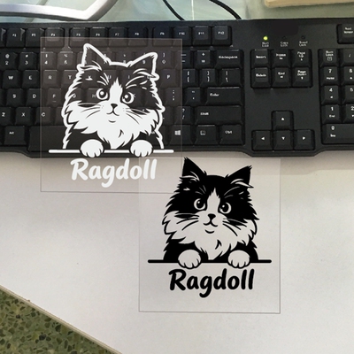车贴纸布偶猫Ragdoll包邮防水