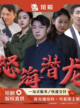 【二轮】《怒海潜龙》57集2024发行非独家短剧二轮剧渠道男频爽文