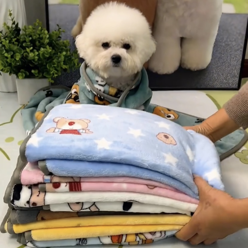 宠物毛毯法兰绒睡觉四季通用狗狗被子泰迪中小型犬猫垫子毯子睡垫