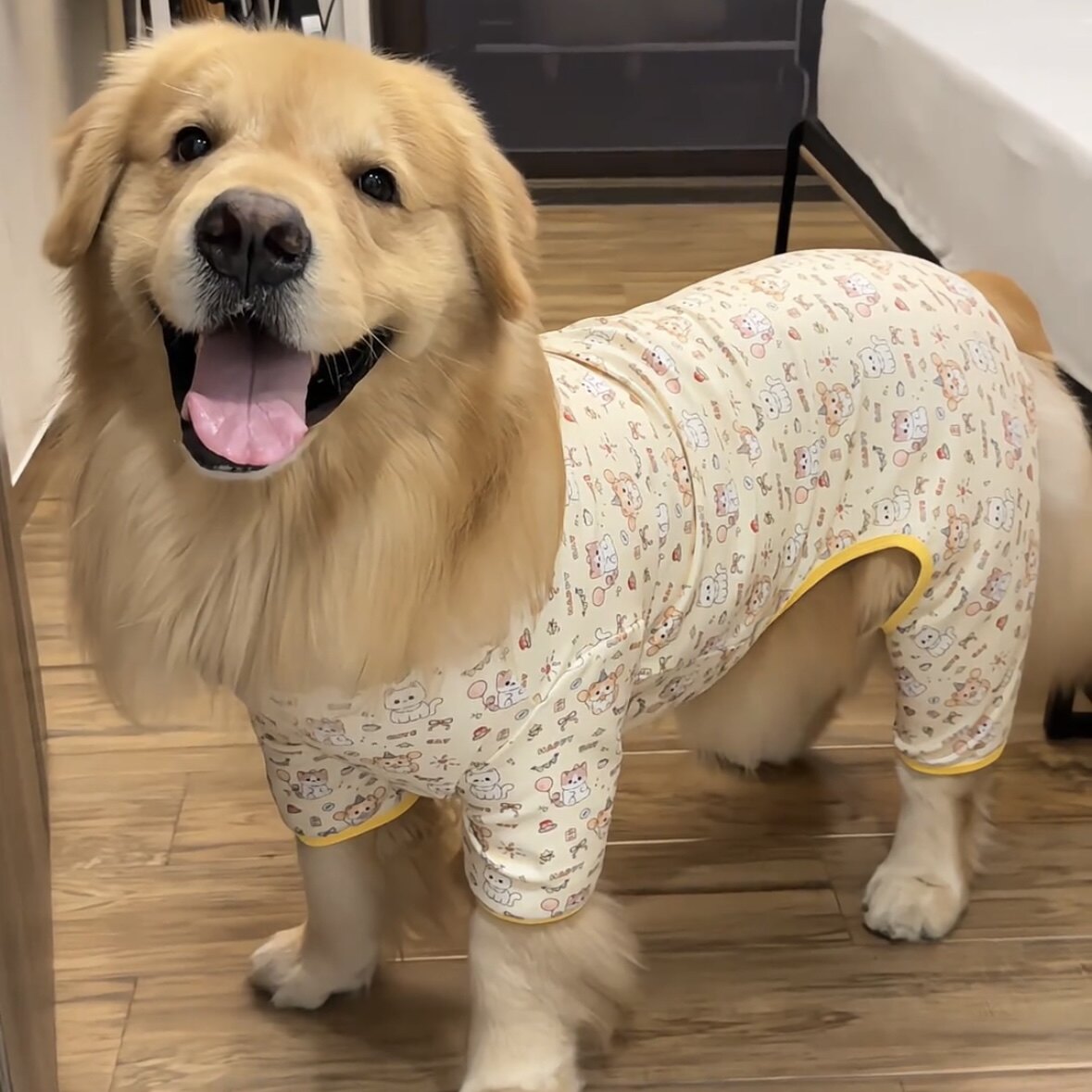 宠物家居服四脚衣大型犬衣服春秋德绒金毛巨贵拉布拉多边牧防掉毛
